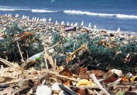 从区域立法到国际合作,欧盟海洋塑料垃圾污染防治,多管齐下